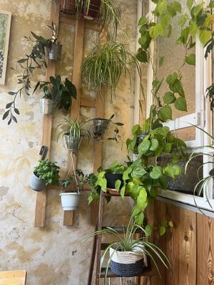   at Laris Love Food in Berlin