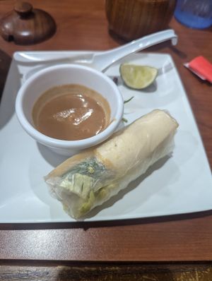 Vegan spring rolls, packed full of goodies at Special Pho in St Petersburg