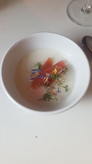 Dessert - rhubarb pannacotta- part of five course set menu at Gro in Oerebro