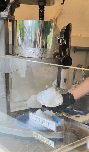 Making of process #Veganuary at Shaveiceberlin - James Simon Park in Berlin