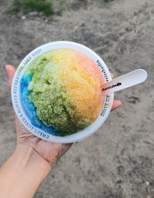 Flavor "Tropical" #Veganuary at Shaveiceberlin - James Simon Park in Berlin