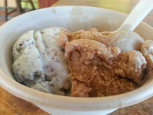 coffee and mint chip... coconut base at Sweet Ritual in Austin