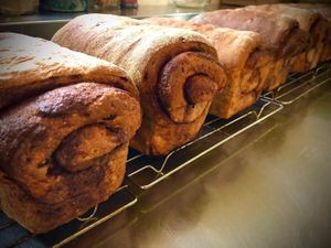  at Breadbox Bakery BNB in Powell River