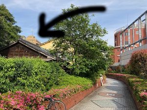 It's here! at WAHA in Tokyo