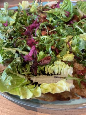   at Villa Zoethout in Alkmaar