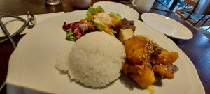  at MERCY Vegan Factory in Osaka