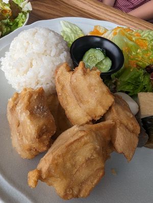  at MERCY Vegan Factory in Osaka