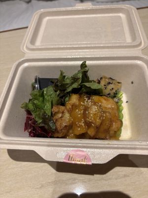   at MERCY Vegan Factory in Osaka