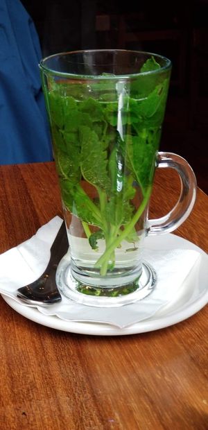  at David Bann Restaurant in Edinburgh