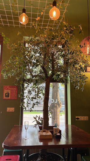  at Lovegan in Cluj-napoca