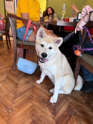  at Lovegan in Cluj-napoca