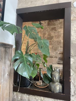   at East Village Cafe in Monterey