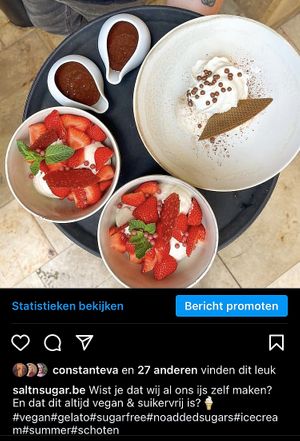 Vegan ice cream   at Salt 'n Sugar in Schoten