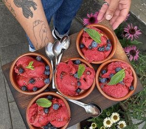 Plant based   at Bodhi's Ice Cream in Brasschaat