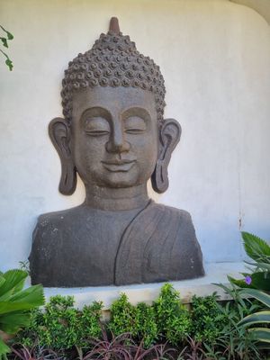 . at Finns Beach Club in Canggu