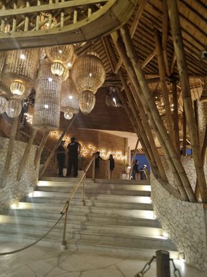 . at Finns Beach Club in Canggu