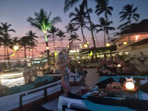 . at Finns Beach Club in Canggu