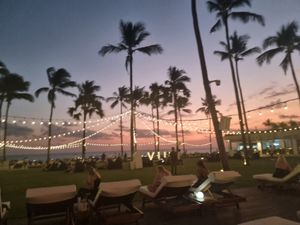 . at Finns Beach Club in Canggu