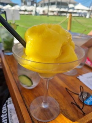 . at Finns Beach Club in Canggu