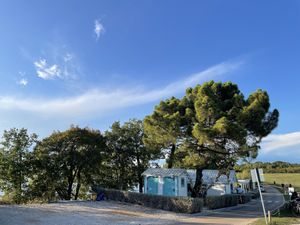   at Dog Dreams Beach and Bar in Novigrad