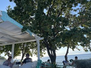   at Dog Dreams Beach and Bar in Novigrad