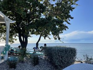   at Dog Dreams Beach and Bar in Novigrad