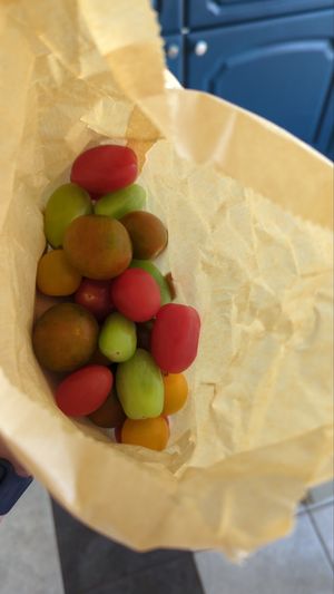  at Bitterne Park Stores in Southampton