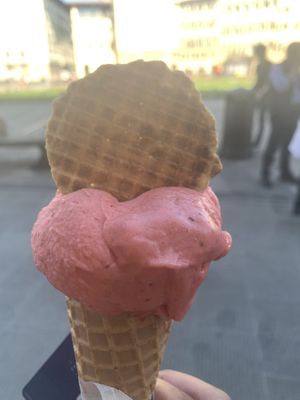 Vegan strawberry gelato  at Gelateria Pasco in Florence