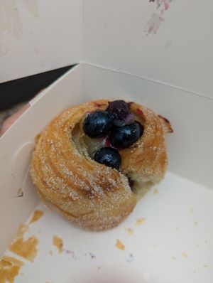  at Truffle Hounds Chocolate in Exeter