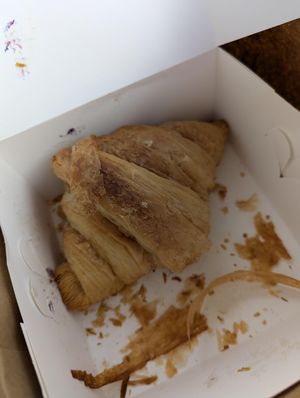  at Truffle Hounds Chocolate in Exeter