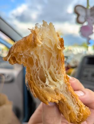  at Truffle Hounds Chocolate in Exeter