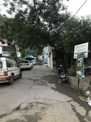   at Anna's Mess in Rishikesh