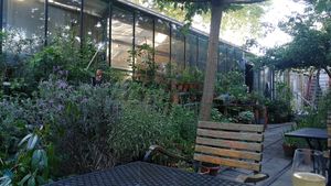 You can sit in the garden with nature all around. at Earth Cafe - Maybe closed in Enschede