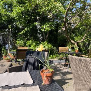 Garden  at Earth Cafe - Maybe closed in Enschede