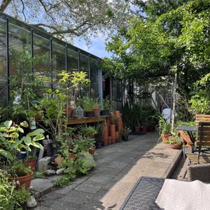 Garden  at Earth Cafe - Maybe closed in Enschede