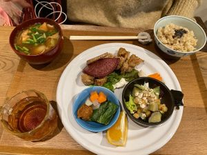 Soy meat set  at Nezu no ya in Tokyo