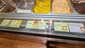 Vegan options clearly labelled at Venchi in Siena