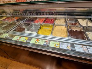 Vegan options clearly labelled at Venchi in Siena