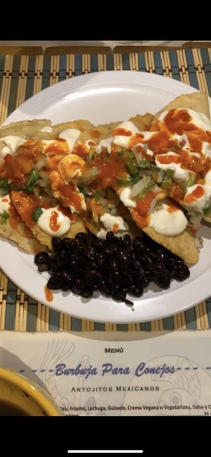   at Burbuja para Conejos in Tulum