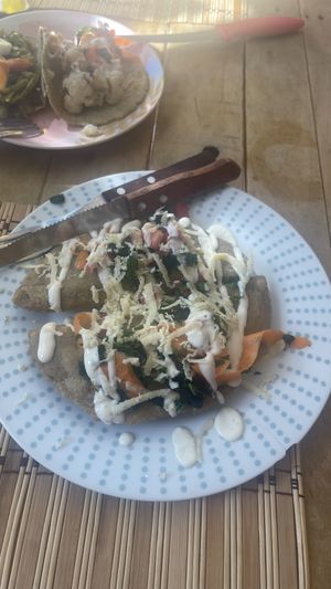 Cactus empanadas  at Burbuja para Conejos in Tulum