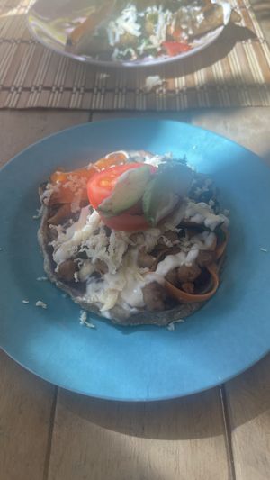 Salbutes   at Burbuja para Conejos in Tulum