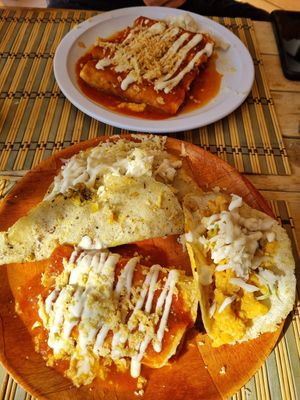  at Burbuja para Conejos in Tulum