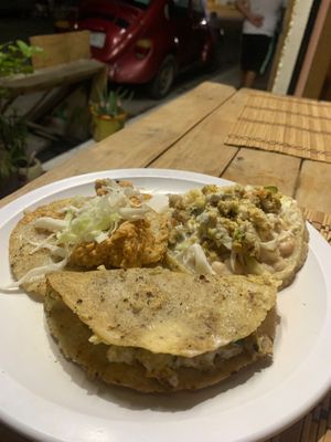  at Burbuja para Conejos in Tulum