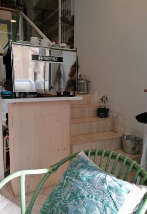 Planta de sota at True Roots in Barcelona