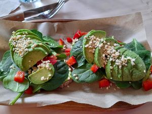  at True Roots in Barcelona