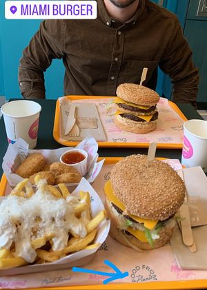 Parmesan truffle fries were a highlight   at The Sunny Burger Co. in Amsterdam