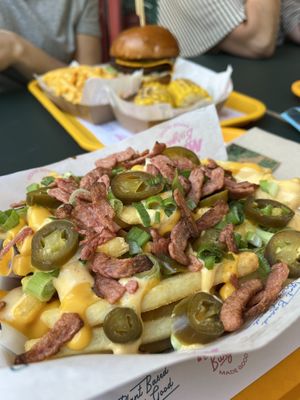 Loaded fries   at The Sunny Burger Co. in Amsterdam