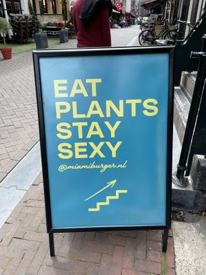  at The Sunny Burger Co. in Amsterdam