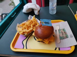 Just A Cheese Burger + Cheesy Fries at The Sunny Burger Co. in Amsterdam