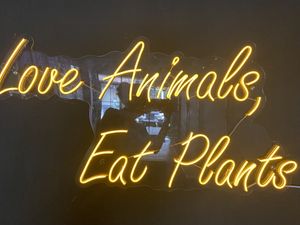   at Black Forest Cafe in Yogyakarta